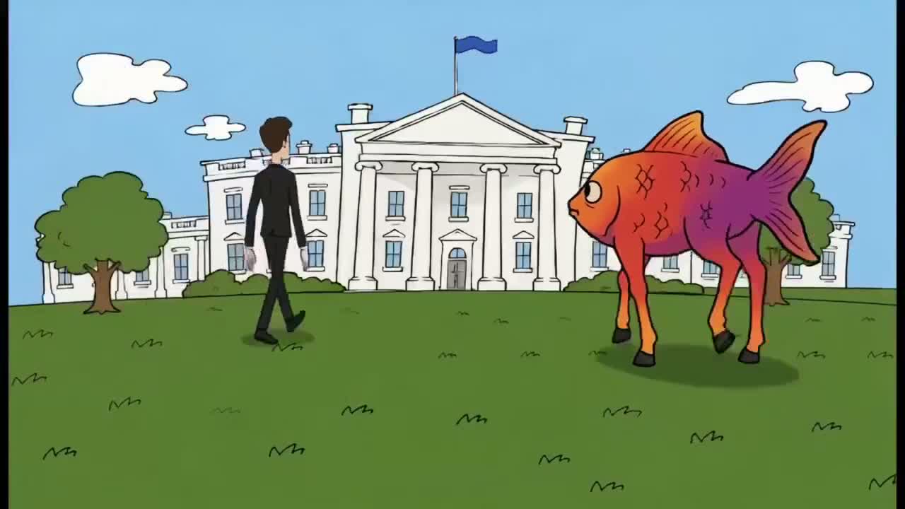 Fishhorse Series episode 4: The Presidential Liquidity Summit